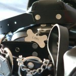 Muzzle