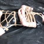 Hemp hogtie