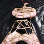 Hemp hogtie
