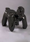 dogsuit
