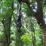 Inverted outdoor rubber suspension Inverted outdoor rubber suspension